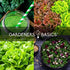 5 Pack Gardeners Basics, Hydroponic Seeds for Planting Planting Indoors and Outdoor Variety - Tatsoi, Kale