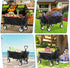 Heavy Duty Foldable Wagon Utility Carts with Wheels Adjustable Handle Collapsible Wagon Cart for Outdoor Grocery