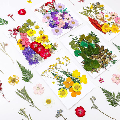 Nuanchu 200 Pcs Dried Pressed Flowers for Crafts, Natural Real Leaves Bulk for DIY Art Jewelry Making