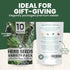 10 Packs 2026 Herb Seeds | Individual | Season | Non-GMO | Mint, Parsley, Basil, Thyme & More! | for Planting Indoor