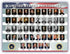 Young N Refined USA Presidents of the United States Poster, Laminated Classroom Chart, 24x30