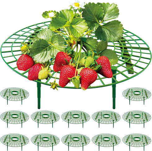 12 Pack Strawberry Supports, strawberry holder plants live for planting,Strawberry Growing Frame,Strawberry