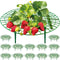 12 Pack Strawberry Supports, strawberry holder plants live for planting,Strawberry Growing Frame,Strawberry