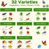 6 32 30,000+ Lush&Dew Year-Round USDA Zone Heirloom Survival Seed Kit, Varieties Non-GMO Seeds for Planting Vegetables