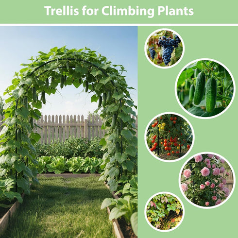 7.8ft RUBFAC Garden Arch Trellis for Climbing Plants Outdoor, Metal Arch Frame Garden Arbors and Arches, Outdoor