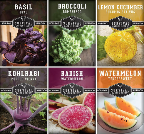 Rare Exotic Vegetable & Fruit Seeds for Planting 6 Variety Heirloom Pack