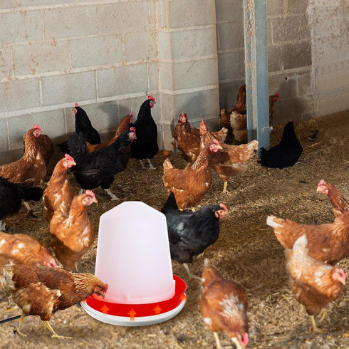 75W 1-3 MEWTOGO Chicken Water Heater for Winter - Energy Saving Chicken Coop Accessories, Thermostatically Controlled