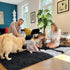 5x8 OLANLY Machine Washable Large Area Rugs for Living Room, Bedroom, Soft Fluffy Shaggy Bedside Rug, Indoor Floor