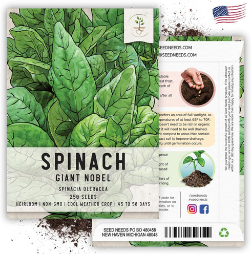250 (1 Pack) Seed Needs, Giant Noble Spinach Seeds - Heirloom Seeds for Planting Spinacia oleracea - Make Your Own