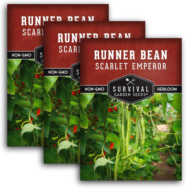 Survival Garden Seeds Scarlet Emperor Runner Bean Seeds for Planting - 3