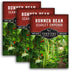 Survival Garden Seeds Scarlet Emperor Runner Bean Seeds for Planting - 3