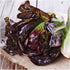 400 (1 Pack) Seed Needs, Red Romaine Lettuce Seeds - Heirloom Seeds for Planting Lactuca Sativa - Non-GMO & Untreated