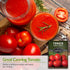 (1 Pack) Amish Paste Tomato Seeds for Planting - Heirloom Indeterminate Non-GMO Variety - Meaty Red Paste Tomatoes