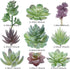 18 Pack Artificial Succulent Plants, Premium Fake Plants, Realistic Textured Cactus Decor