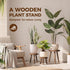 3 Pack Bamworld Plant Stands Indoor Single Plant Stand for Multiple Plants Corner Plant Stool Wooden Plant Stands