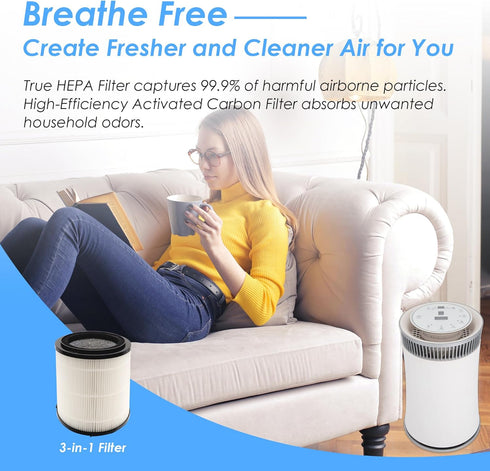 Flintar H13 True HEPA Replacement Filter, 2-Pack for SilverOnyx 5-Speed Air Purifier KJ150F-C02, Large Room 500 sq ft