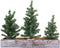 Winlyn 3 Pack Mini Canadian Pine Trees with Wood Bases, Artificial Miniature Christmas Trees for Holiday Decoration