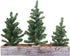 Winlyn 3 Pack Mini Canadian Pine Trees with Wood Bases, Artificial Miniature Christmas Trees for Holiday Decoration