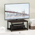 2-Tier 32 inch, 15.8 23.8 11, Furinno TURN-N-TUBE TV Riser Stand, Small Elevated No Tools TV Stand, TV Console for TV