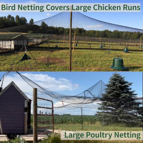 10x50ft 1/2 inch Bird Netting for Chicken Coop Mesh Heavy Duty Chicken Netting Animal Barrier, Poultry Netting Roof