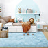 4x6 Ultra Soft Fluffy Rugs for Bedroom Feet, Shag Area Rugs for Living Room, Large Comfy Furry Rug for Boys Kids Baby