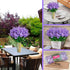 Artificial Flowers Bouquets, Wisteria Hyacinth Fake Bulk for Vase Home Decor, UV Resistant for Indoors, Outdoors,