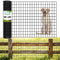 Amagabeli Black Coated Welded Wire Fence 2 inch x 3 inch 36inch