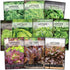 Sow Right Seeds - Large Lettuce Seed Collection for Planting - Buttercrunch,