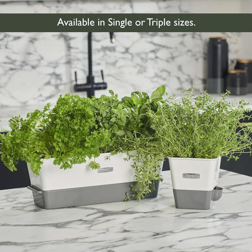 Cole & Mason Triple Self-Watering Herb Keeper - Burwell