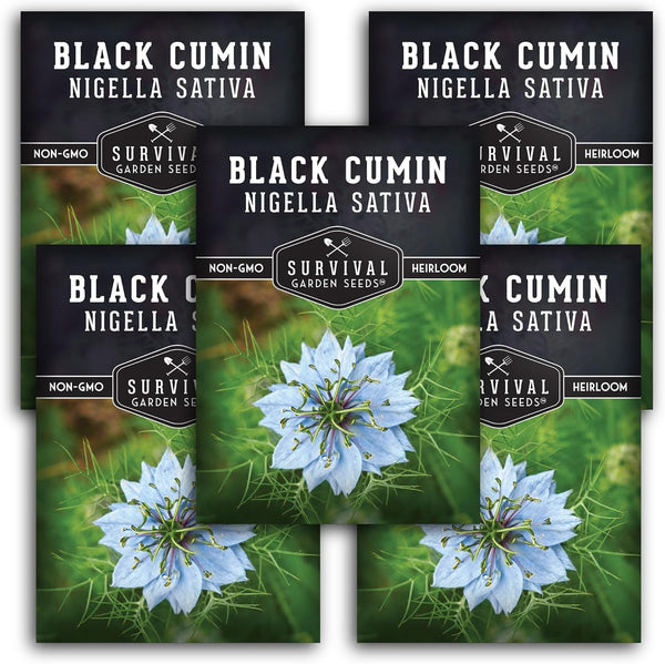 Survival Garden Seeds Black Cumin Seed for Planting - 5 Packets with