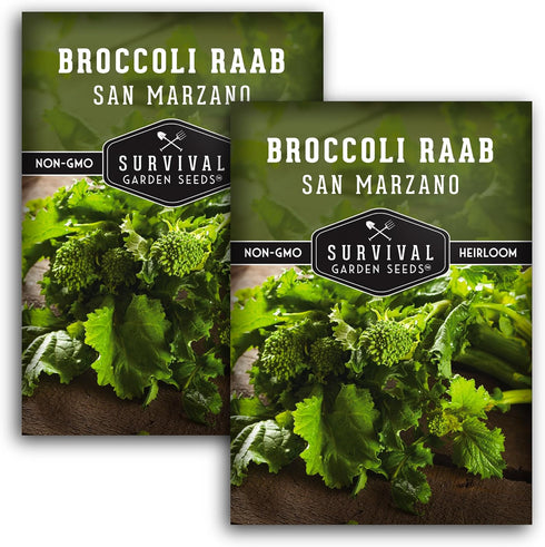 San Marzano Raab Broccoli Rabe Seeds for Planting Italian Heirloom Rapini Variety,