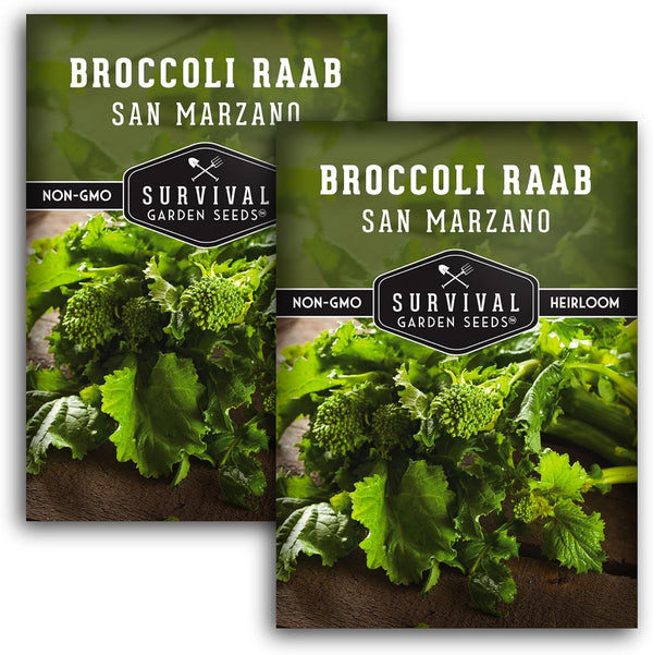 San Marzano Raab Broccoli Rabe Seeds for Planting Italian Heirloom Rapini Variety,