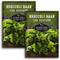 San Marzano Raab Broccoli Rabe Seeds for Planting Italian Heirloom Rapini Variety,