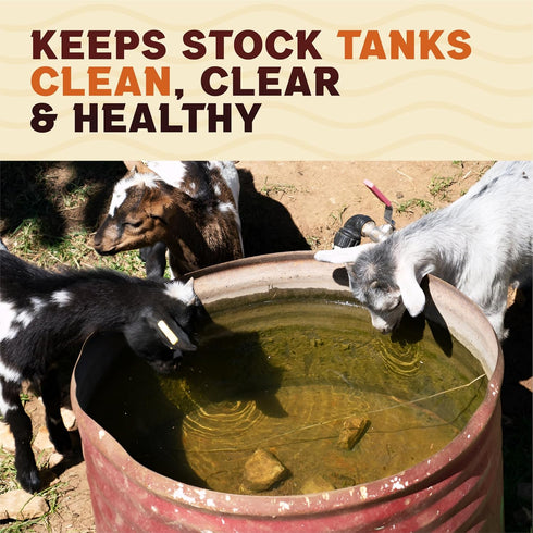 50, Count) Stock Tank Clarifier - Improves Livestock Water by reducing buildup and Creating Healthier Water troughs.