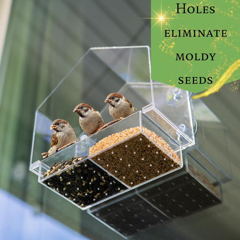 Window Bird Feeder House Shaped, Innovative Anti-Yellow Acrylic Technology, Strong Suction Cup Grip for Wild Birds