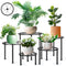 Amaoot 5 Pack Metal Plant Stand, Iron Plant Stands for Indoor and