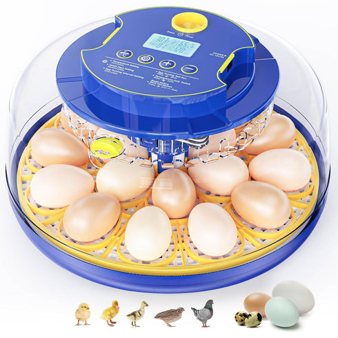 18 Chicken Egg Incubators for Hatching Eggs: Egg Incubator with Automatic Egg