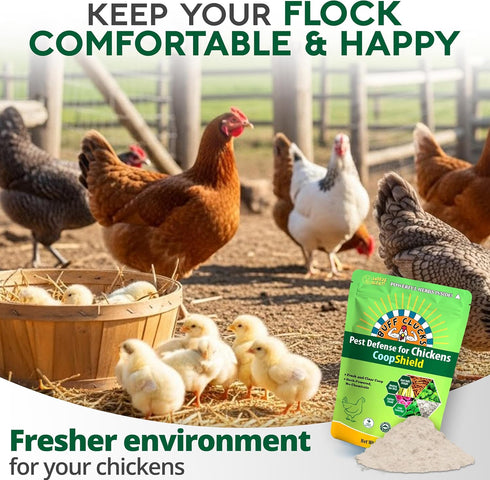 (12 oz) Buff Clucks Dust Bath Herb Blend for Chickens - Keep Feathers Clean & Healthy - Food Grade, Natural Nesting Box