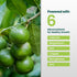 HiThrive 32oz 32 Lime Tree Fertilizer - Citrus Fertilizer for Lime Trees Live Plants - Makes Gallons of Liquid Fruit