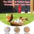 Reptilux 2-Pack Metal Chicken Grit Feeder & Oyster Shell Feeder with Lid - Hanging Gravity Poultry Feeder for Chickens