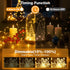 16FT 50 8 LED Fairy Lights Battery Operated with Timer, Modes USB Mini Twinkle Light, Small String Lights for Tree