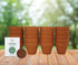 5cm Pack (20 Count), 20 BUZZY Daisy Seeds & Genuine Terracotta Mini Pot Bulk Includes Each of pots, Soil pellets