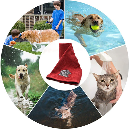 DAN RIVER Dog Towels for Drying Dogs, Large 100% Cotton Puppy Bath Towel, Ultra Soft 450 GSM, 20x40 inches