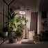 3H/9H/12H, 10 Dimmable 51-67in Grow Light Plant Light for Indoor Plants, Full Spectrum Grow Lamp with Pedestal Stand