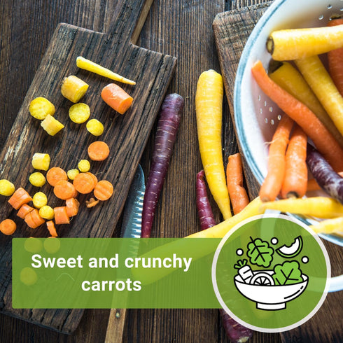 Packet (3) Sow Right Seeds - Rainbow Mix Carrot Seed for Planting - Non-GMO Heirloom with Instructions to Plant a Home