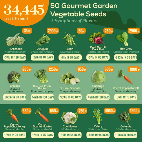 50 Pack 34,455+ Packets Seedphony Gourmet Garden Vegetable Seeds Variety - Non-GMO Heirloom Vegetables Seeds