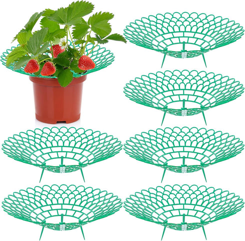 Fairooth 6 Pack Strawberry Supports Strawberry Plant Support Stand Strawberry Growing Racks Protector