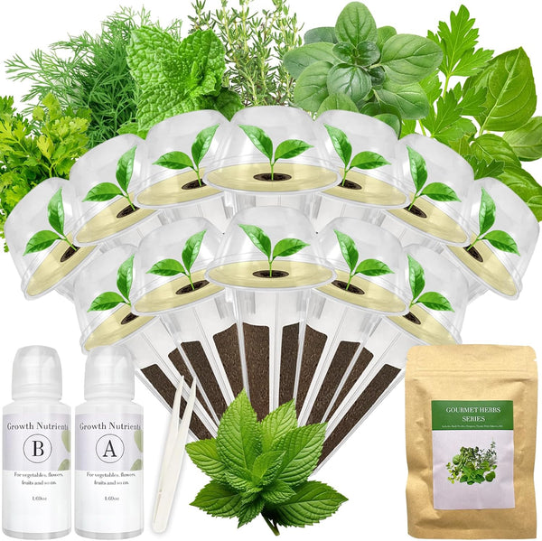 Gourmet Herbs Seed Pod Kit for AeroGarden, iDoo, Ahopegarden, MUFGA with Basil,
