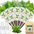 Gourmet Herbs Seed Pod Kit for AeroGarden, iDoo, Ahopegarden, MUFGA with Basil,