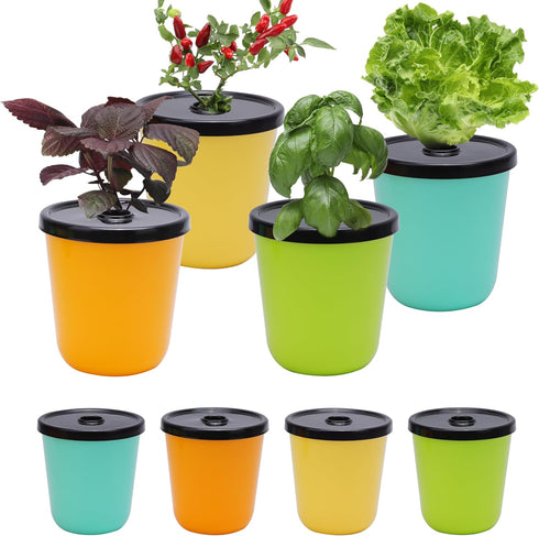 Kratky Method Hydroponic Planter Kit, 8 Hydroponic Planter Plus 24 Growing Sponges